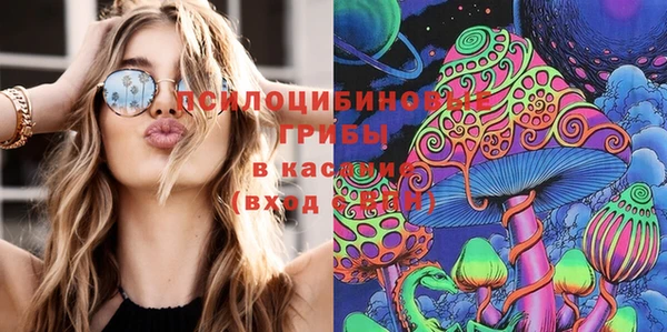 ПСИЛОЦИБИНОВЫЕ ГРИБЫ Богородицк